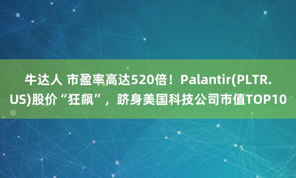 牛达人 市盈率高达520倍！Palantir(PLTR.US)股价“狂飙”，跻身美国科技公司市值TOP10