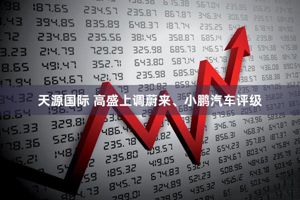 天源国际 高盛上调蔚来、小鹏汽车评级