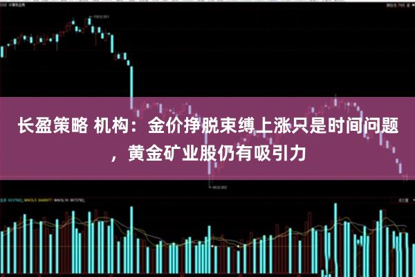 长盈策略 机构：金价挣脱束缚上涨只是时间问题，黄金矿业股仍有吸引力