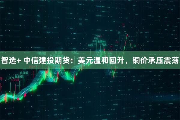 智选+ 中信建投期货：美元温和回升，铜价承压震荡