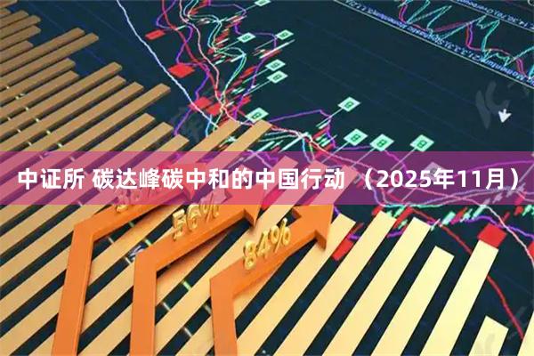 中证所 碳达峰碳中和的中国行动 (2025年11月)