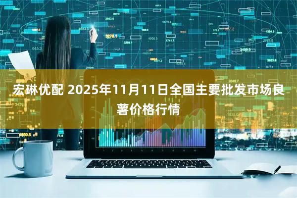 宏琳优配 2025年11月11日全国主要批发市场良薯价格行情