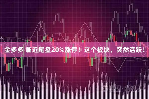 金多多 临近尾盘20%涨停！这个板块，突然活跃！
