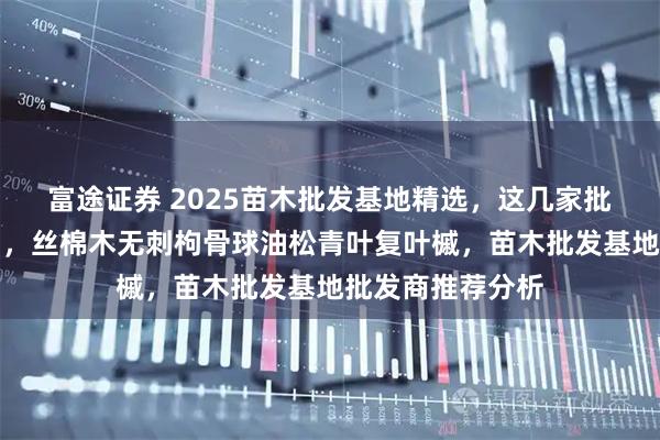 富途证券 2025苗木批发基地精选，这几家批发商实力超群！，丝棉木无刺枸骨球油松青叶复叶槭，苗木批发基地批发商推荐分析