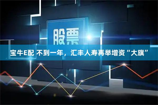 宝牛E配 不到一年，汇丰人寿再举增资“大旗”